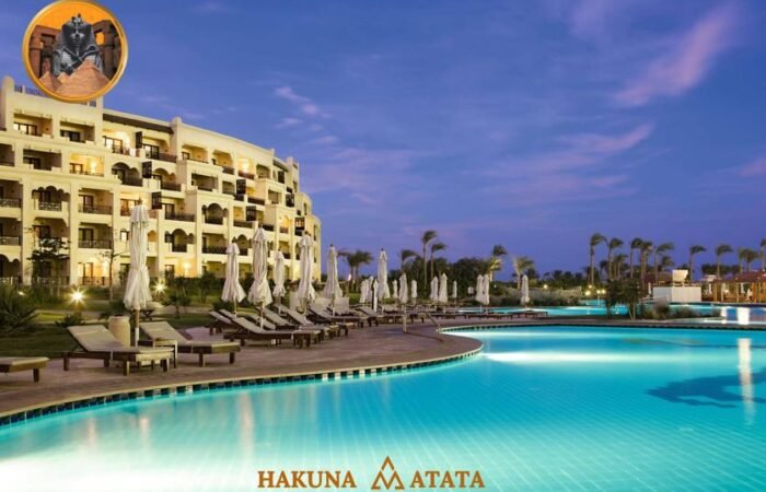 ice-84631-72552223_3XL-854433