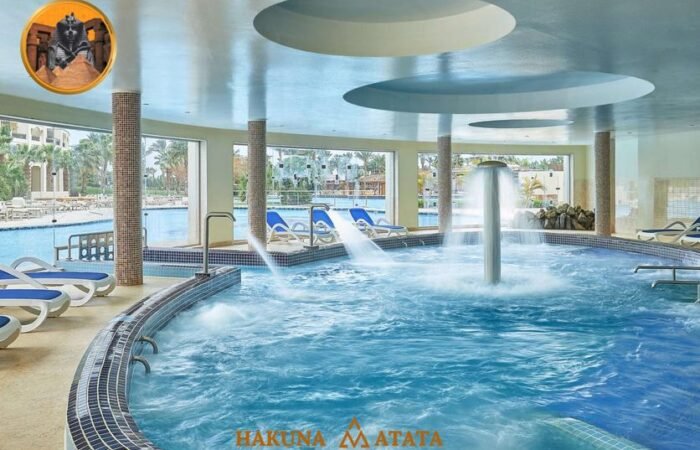 ice-84631-72552319_3XL-688911