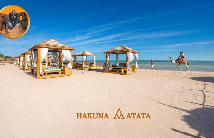 1eedeccd-ceda-4df2-a048-a02e3c0734fc