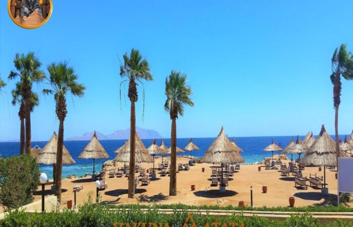 25a7d3e7-e527-41dd-8850-16415d052f51