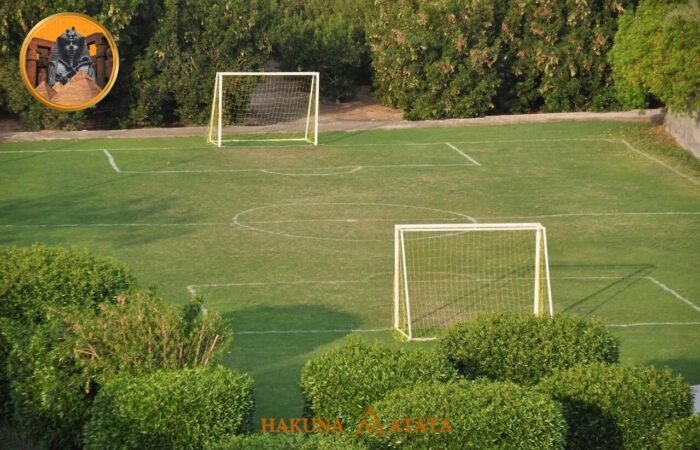 2c4cc70a-fe56-46da-bae3-38b069f4613d