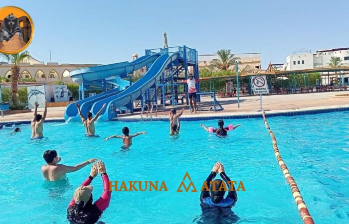 51887dc0-2b47-439d-baa0-442987407d6b