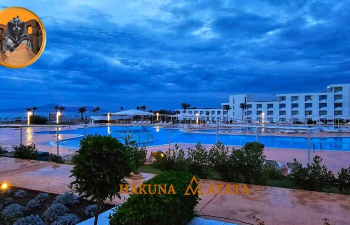 556b2b49-5ede-4739-b560-b607f08066f3