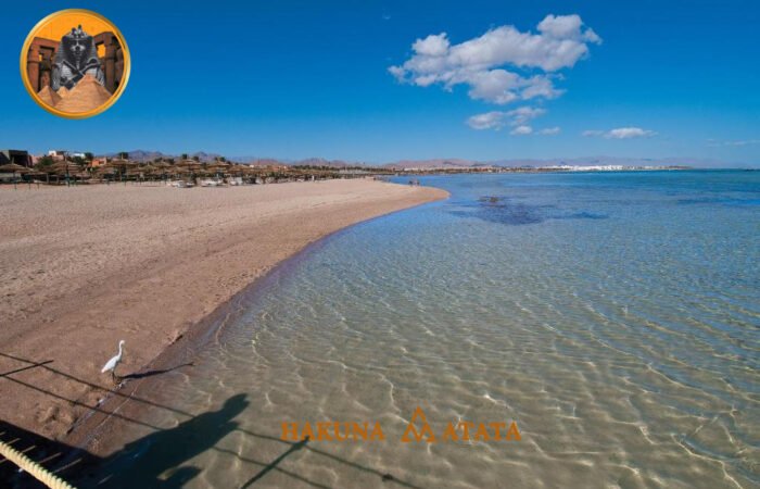 56cd24d8-5e74-47b5-b131-45ec3d9386d8