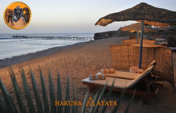 591ffd36-4f33-4362-a37c-b867d666b3b5