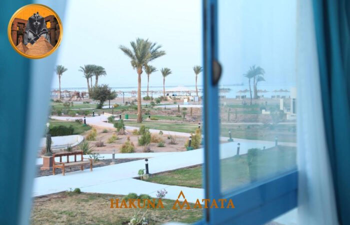 5d83afe4-bf0c-48d6-aef3-c3095bc5008a