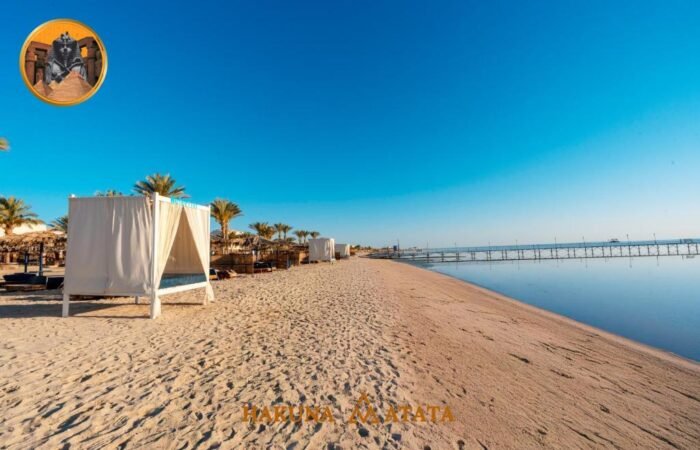 609e1052-8f7e-4d36-bec2-9d5fd3ebb113