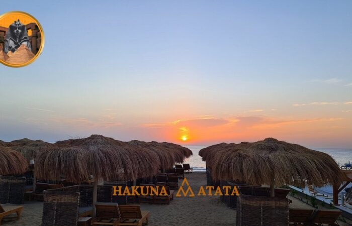 6418df0d-f6e7-4fad-aa8d-39d545d83d74