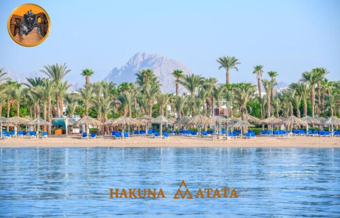 73eeaea9-f214-442a-beb1-0e2631a7f908