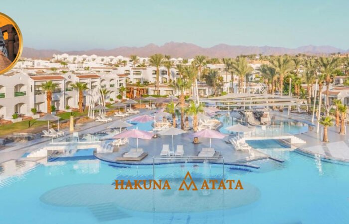 93808145-a9d5-4a64-b846-5416f95eeca3