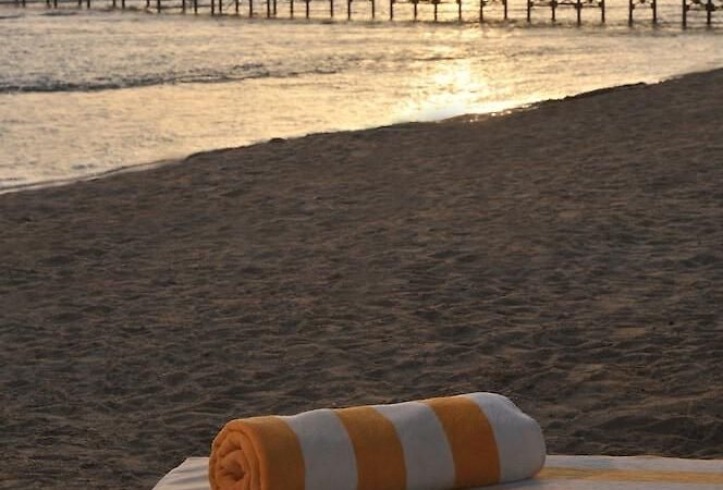 af0a02e2-1719-4444-bbd3-4ebfee35c030