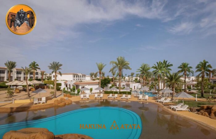 b5c180a5-e52d-4e99-afd4-d263e0a6a12a