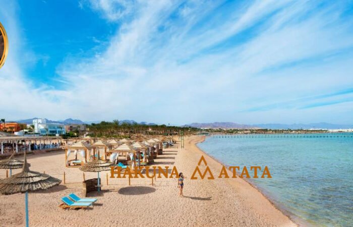 e81b7e1d-686a-45ed-a925-2c3301f2a3b9