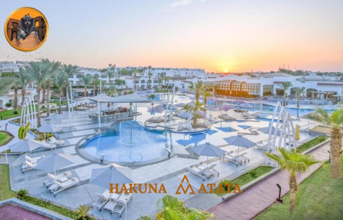 eb88c7ac-f31e-4a87-893d-8a65ea9f6e0c