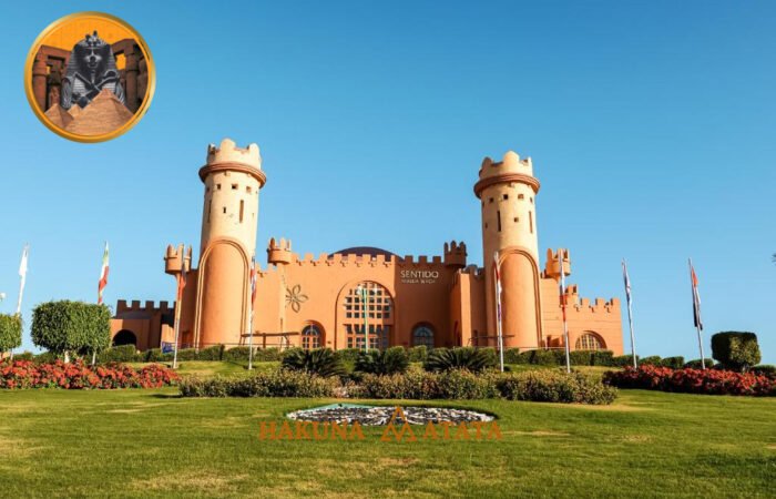 eca02052-0f8b-4eb7-8187-7d5c963fffd4