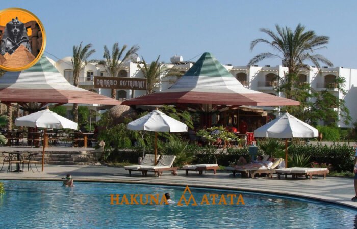 f6487f7e-07fd-42cf-a3e7-d4e7a6b3df9e