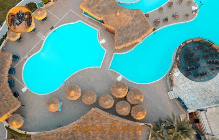 f9690c4d-dd6e-4594-a131-553a139dd231